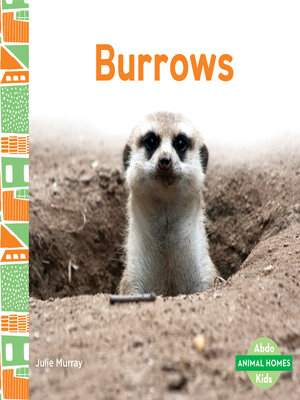 cover image of Burrows